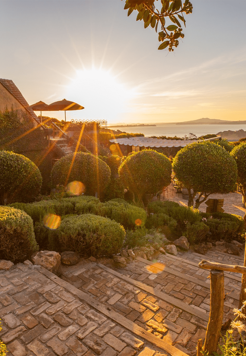 Mudbrick Vineyard