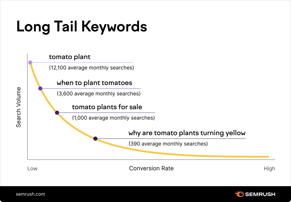 How long tail keywords are good for conversion, as explained by Semrush. Ask The Web Guys about long tail keywords and how we can improve your SEO in NZ. 